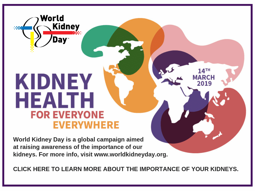 A colorful graphic promoting World Kidney Day on March 14th, 2019. The text reads "Kidney Health for Everyone Everywhere." There are abstract illustrations of continents and kidneys. The campaign's goal and website for more information are mentioned below.
