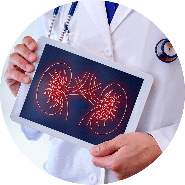 doctor talking about nephrology with patient