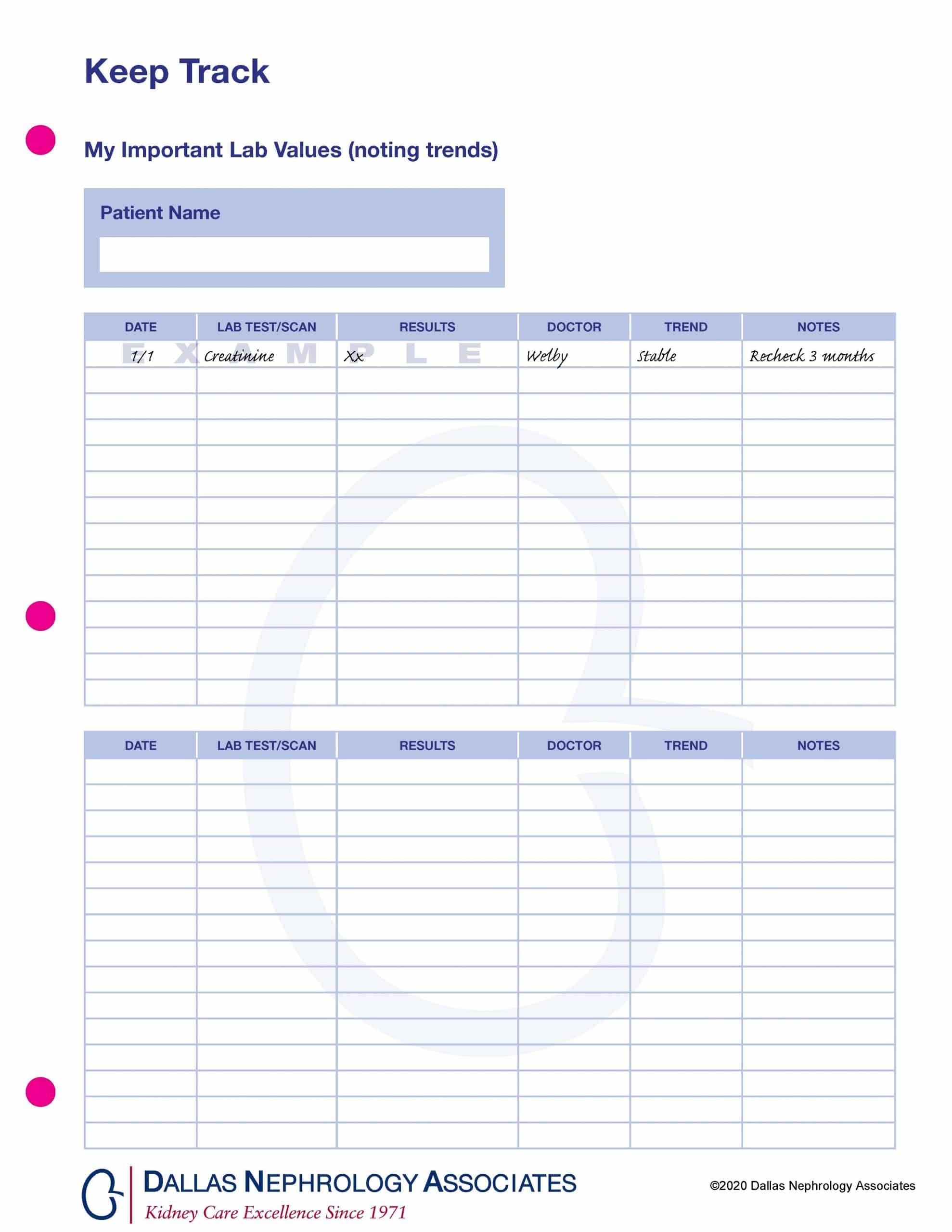 A medical tracking sheet titled "My Important Lab Values" with columns for patient name, date, lab tests/scan, results, doctor, trend, and notes. One row is filled in with sample information. The sheet is branded with Dallas Nephrology Associates.