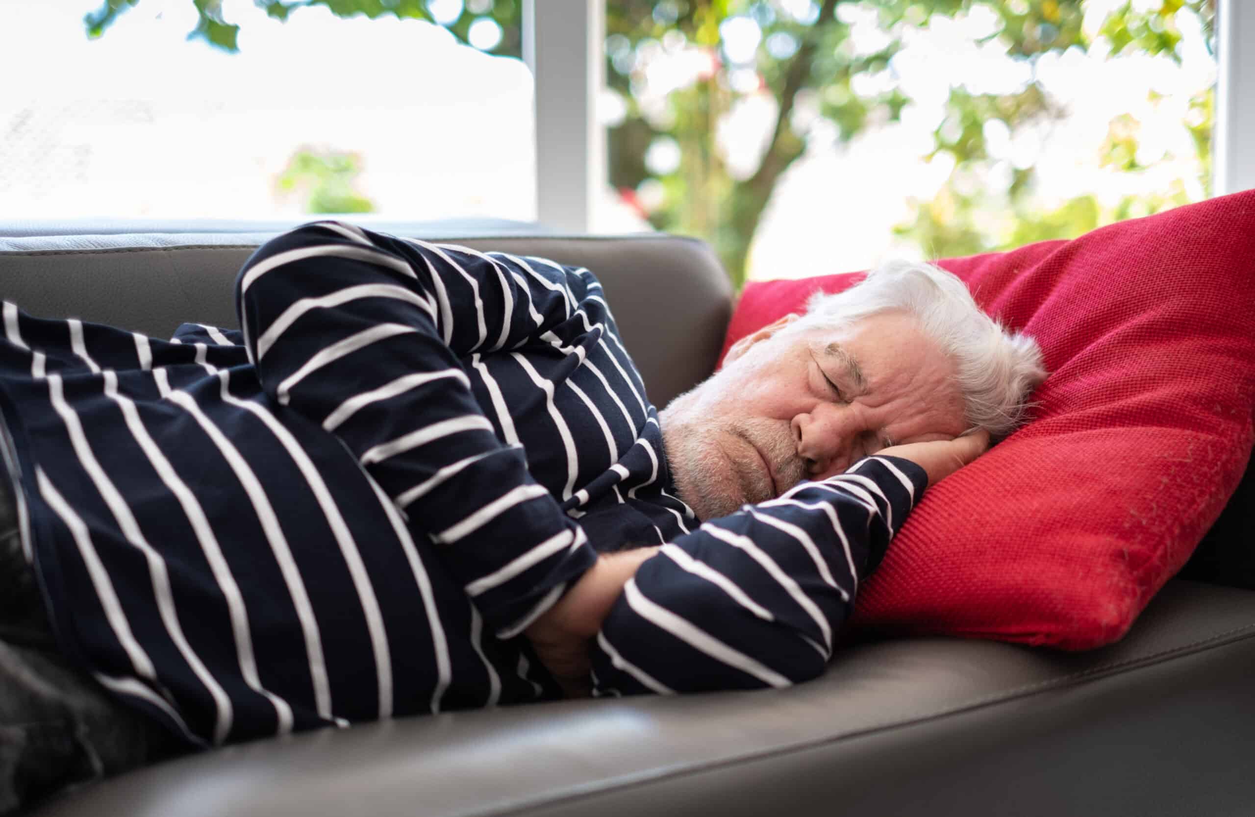 An elderly kidney transplant recipient with white hair and a beard sleeps on a gray sofa, resting his head on a red pillow. He wears a black and white striped shirt, with sunlight and greenery visible through the window behind him.